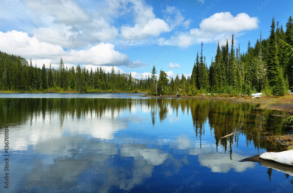 Fototapeta premium Scenic view of reflection lake in Mount Rainier