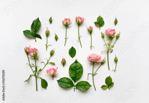Decorative pattern with pink roses, leaves and buds on white background. Flat lay, top view