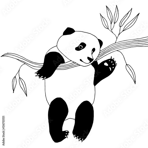 Fototapeta Naklejka Na Ścianę i Meble -  Panda bear hanging on a branch with leafs