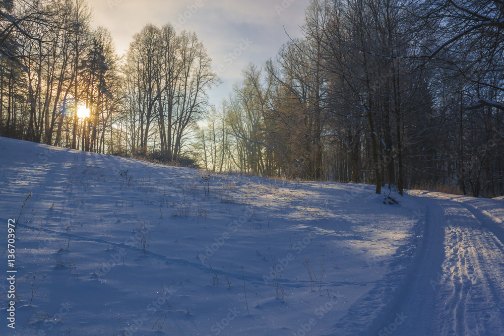 Winter Wonderland in morning light of the sunrise