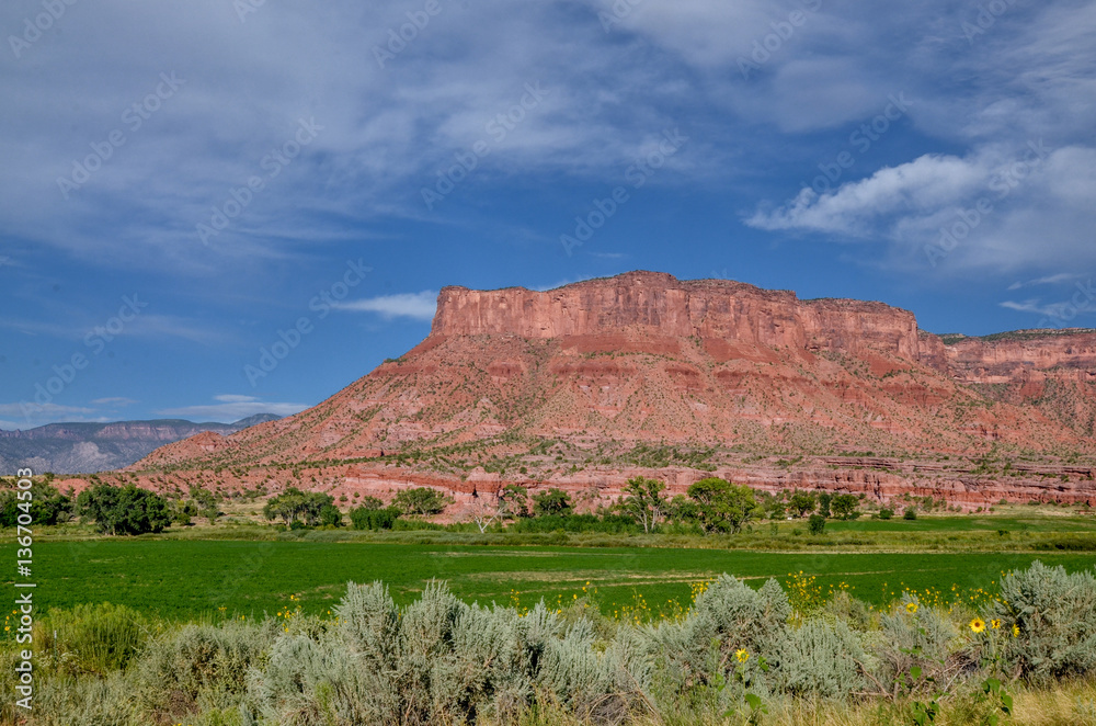 Fototapeta premium red rocks of Mesa Canyon and green valley of Dolores river near Unaweep-Tabeguache scenic byway Gateway, Mesa County, Colorado, USA