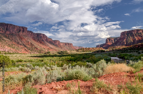Dolores river valley in Mesa Canyon near Unaweep-Tabeguache scenic byway
Gateway, Mesa County, Colorado, USA