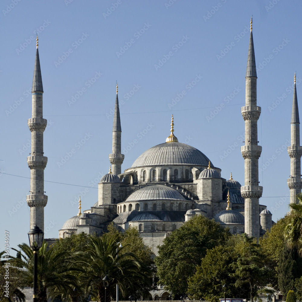 Fototapeta premium La Moschea Blu di Istanbul