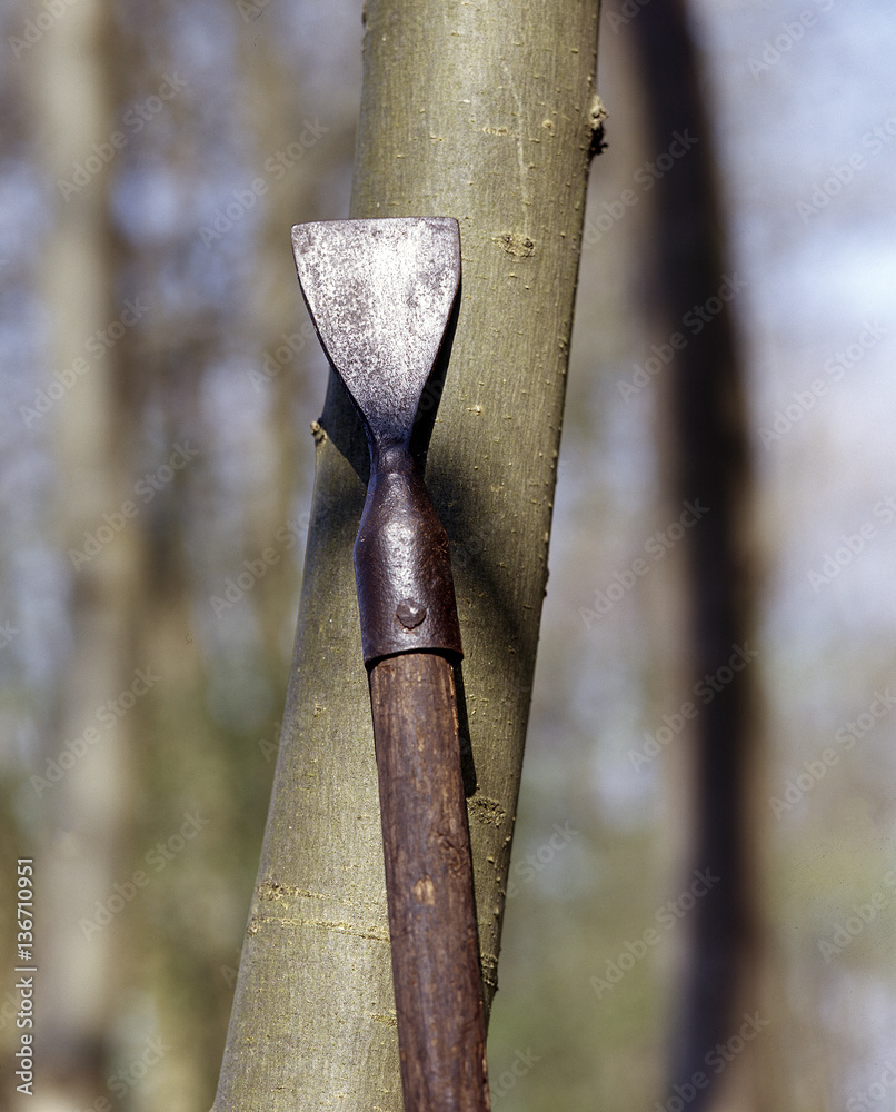 Outils du bois / Rusquet / Forestier / Bûcheron Photos | Adobe Stock