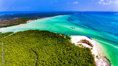 Zanzibar beach mangroves forest aerial view
