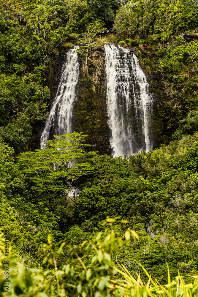 Obraz premium Hawaiian Waterfall