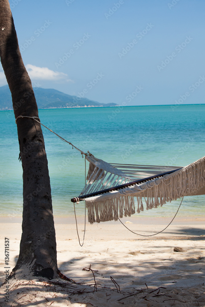 hamac sur une belle plage au bord d'une mer paradisiaque Stock Photo |  Adobe Stock