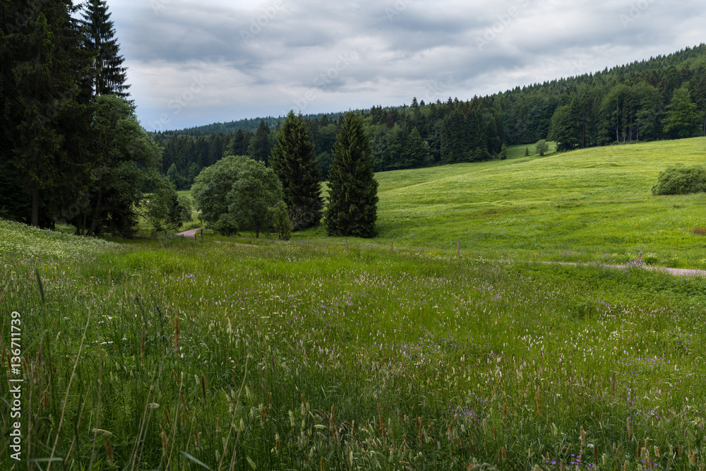 Obraz premium Vessertal