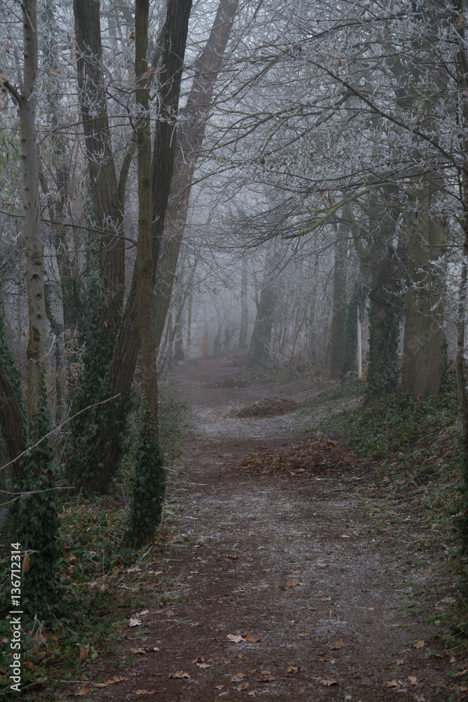 Obraz premium idyllischer winterweg