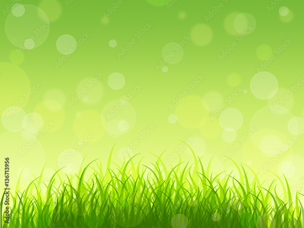 Concept. Nature awakens. Spring background. Young greens.