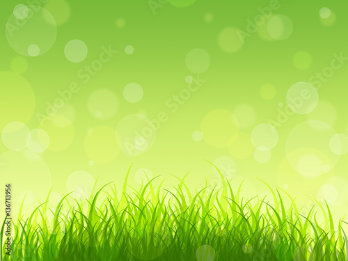 Concept. Nature awakens. Spring background. Young greens.
