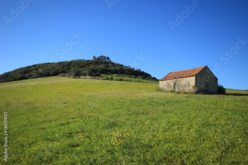 Old country house on a field of green grass