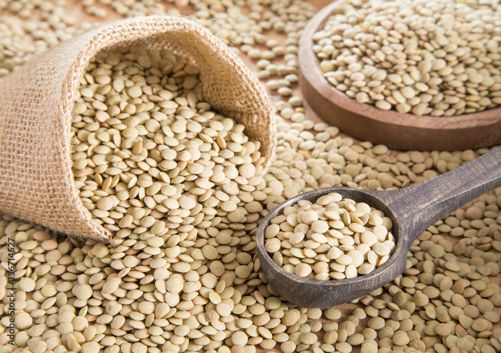 Lentil grains (Lens culinaris) Lentil grains (Lens culinaris)