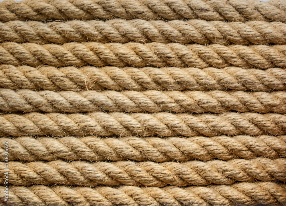 Rope background lines curl Rope background lines curl