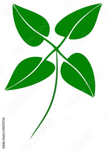 Commercial green cloverleaf logo on a white background