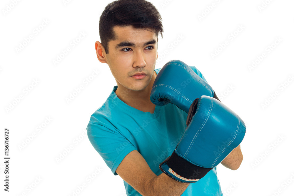 portrait of young strong man in blue shirt practicing boxing in gloves isolated on white background portrait of young strong man in blue shirt practicing boxing in gloves isolated on white background