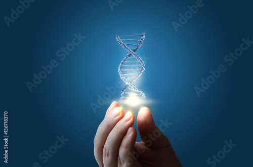 DNA in hand on blue background. photo