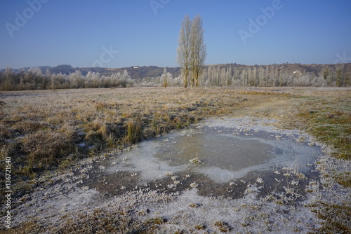 Paysage Campagne 174