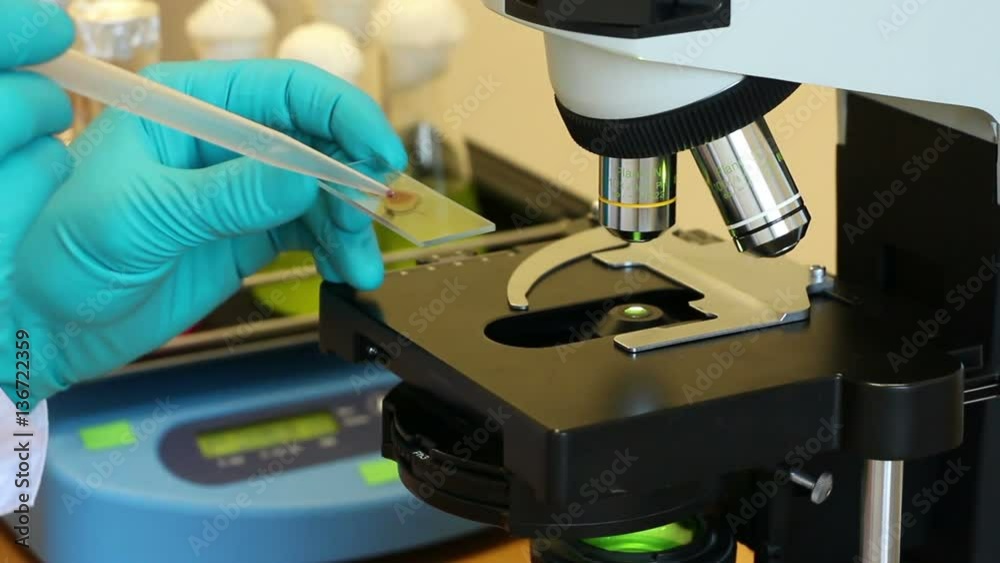 Vidéo Stock A man touches drop of blood on the slide by plastic tip