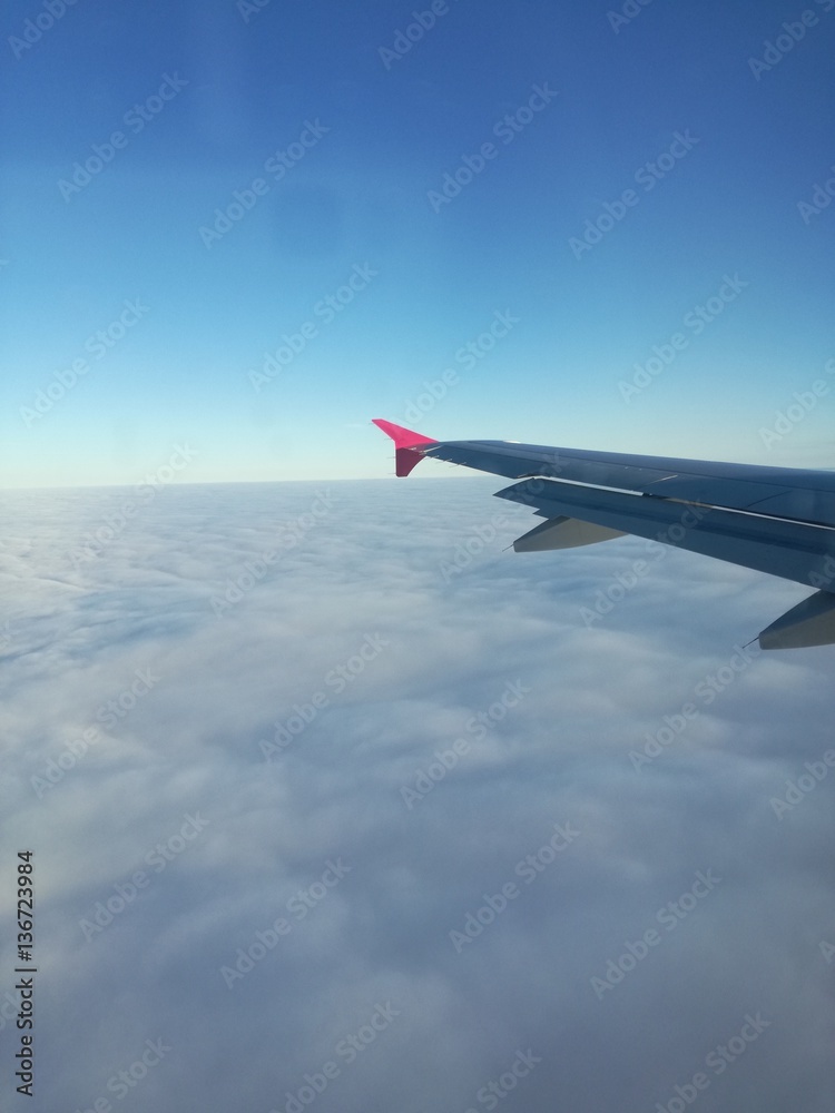 Obraz premium Airplane in the sky 