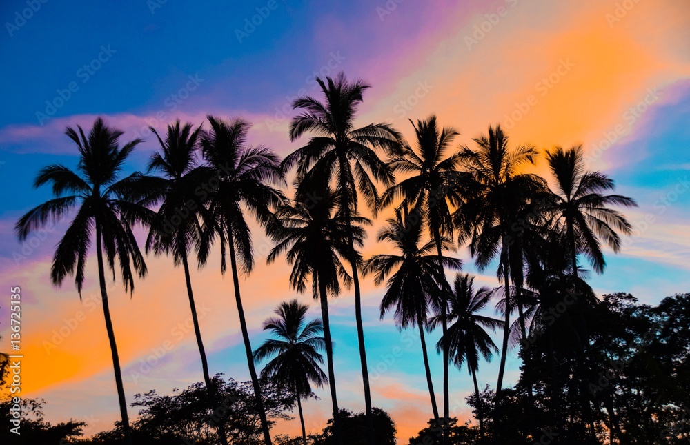 Silhouette of palm trees against tropical sunset sky, Matapalo Beach, Guanacaste, Costa Rica	