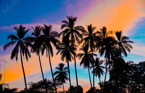 Silhouette of palm trees against tropical sunset sky, Matapalo Beach, Guanacaste, Costa Rica	 photo