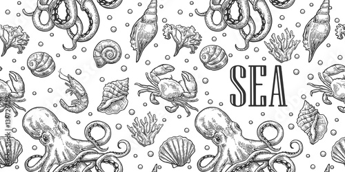 Seamless pattern sea shell, coral, crab, octopus and shrimp. Vector engraving vintage illustrations. Isolated on white background