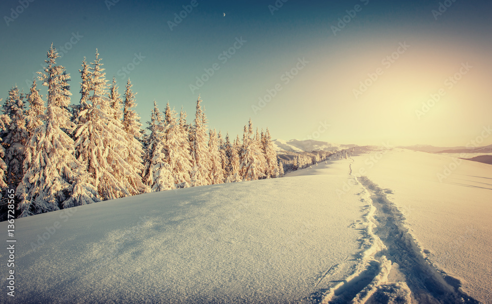Fantastic winter landscape and trampled paths at sunset that lea - obrazy, fototapety, plakaty 