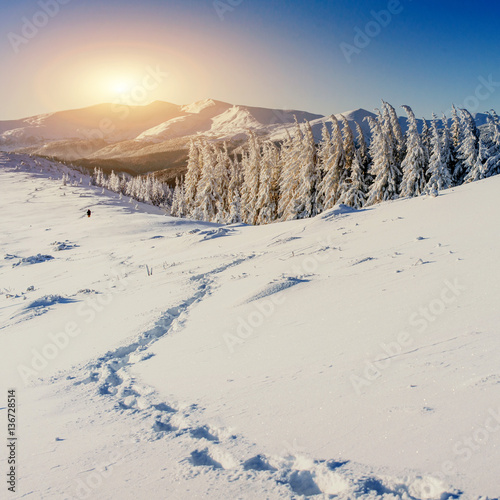 Obraz na plátně Fantastic winter landscape and trampled paths at sunset that lea