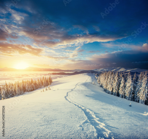 Fantastic winter landscape and trodden trails that lead into the