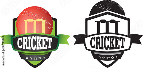 Logo or grahic design for a cricket club