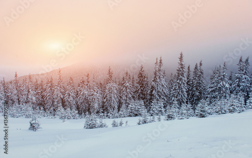 fog in winter mountains. Fantastic sunset. © standret