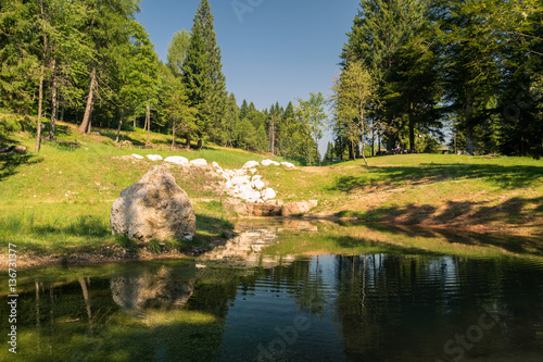 Small pond in the woods of the Alps.