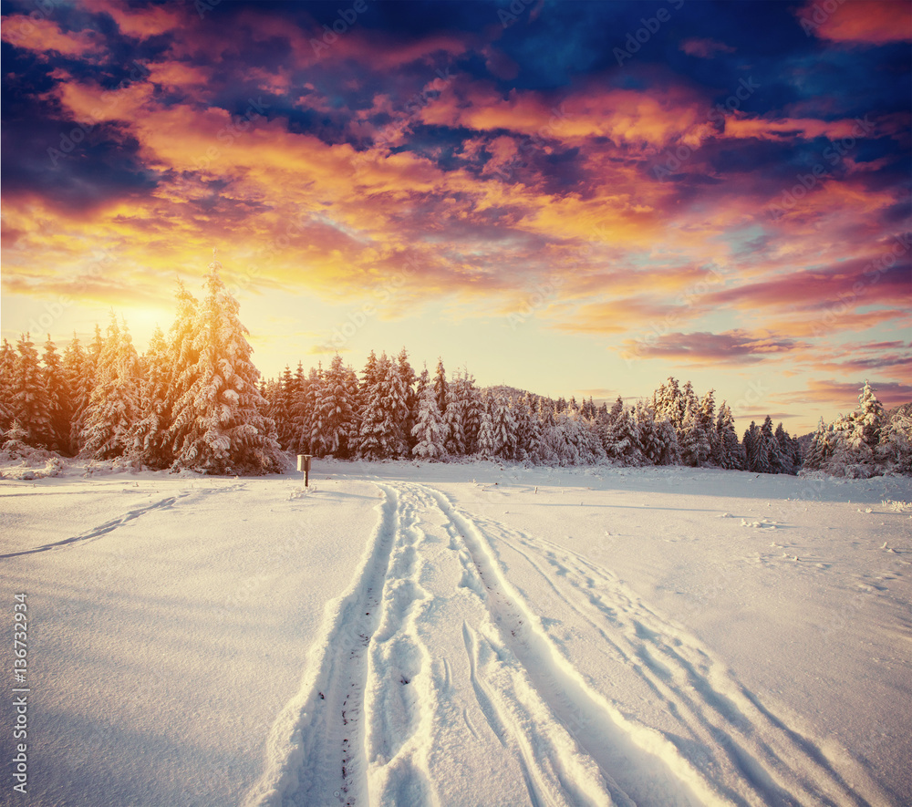 winter road. Beautiful color high-res illustration with a holida winter road. Beautiful color high-res illustration with a holida