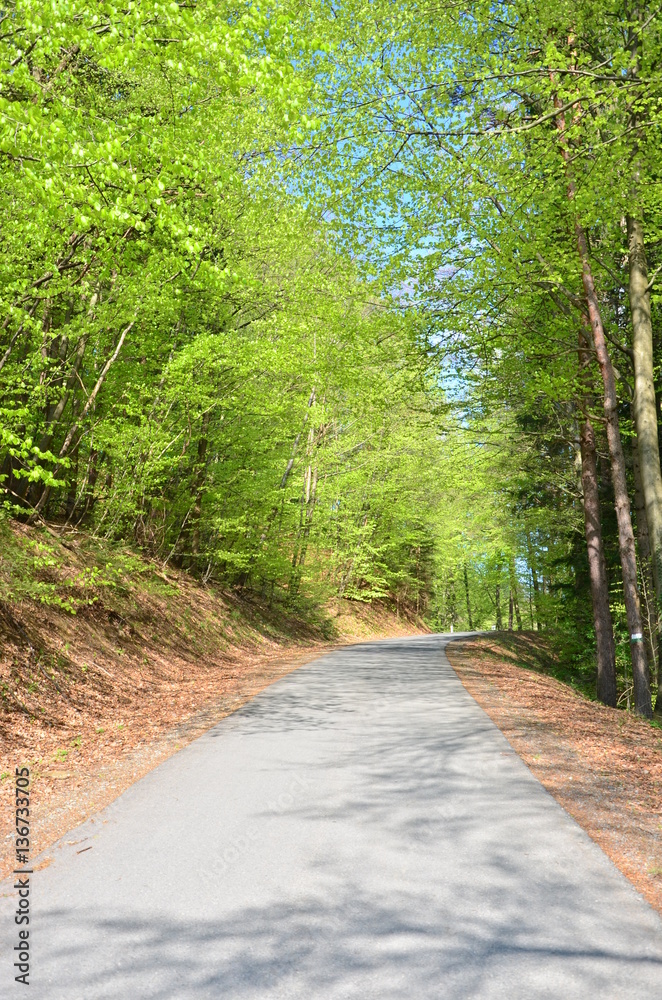 Obraz premium Frühling