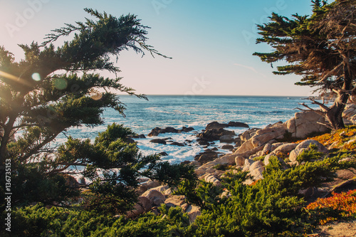 View on the rocky sea in between the trees, california coast, US