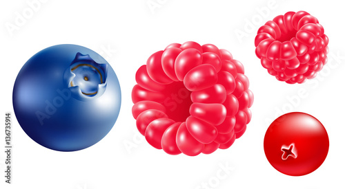 Berries isolated. Raspberries, blueberries and cranberries