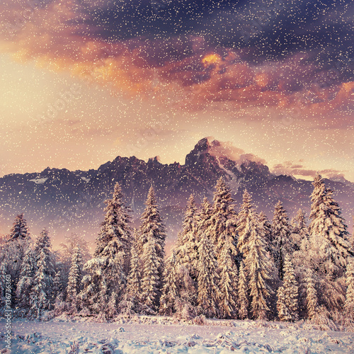 magical winter landscape  background with some soft highlights a