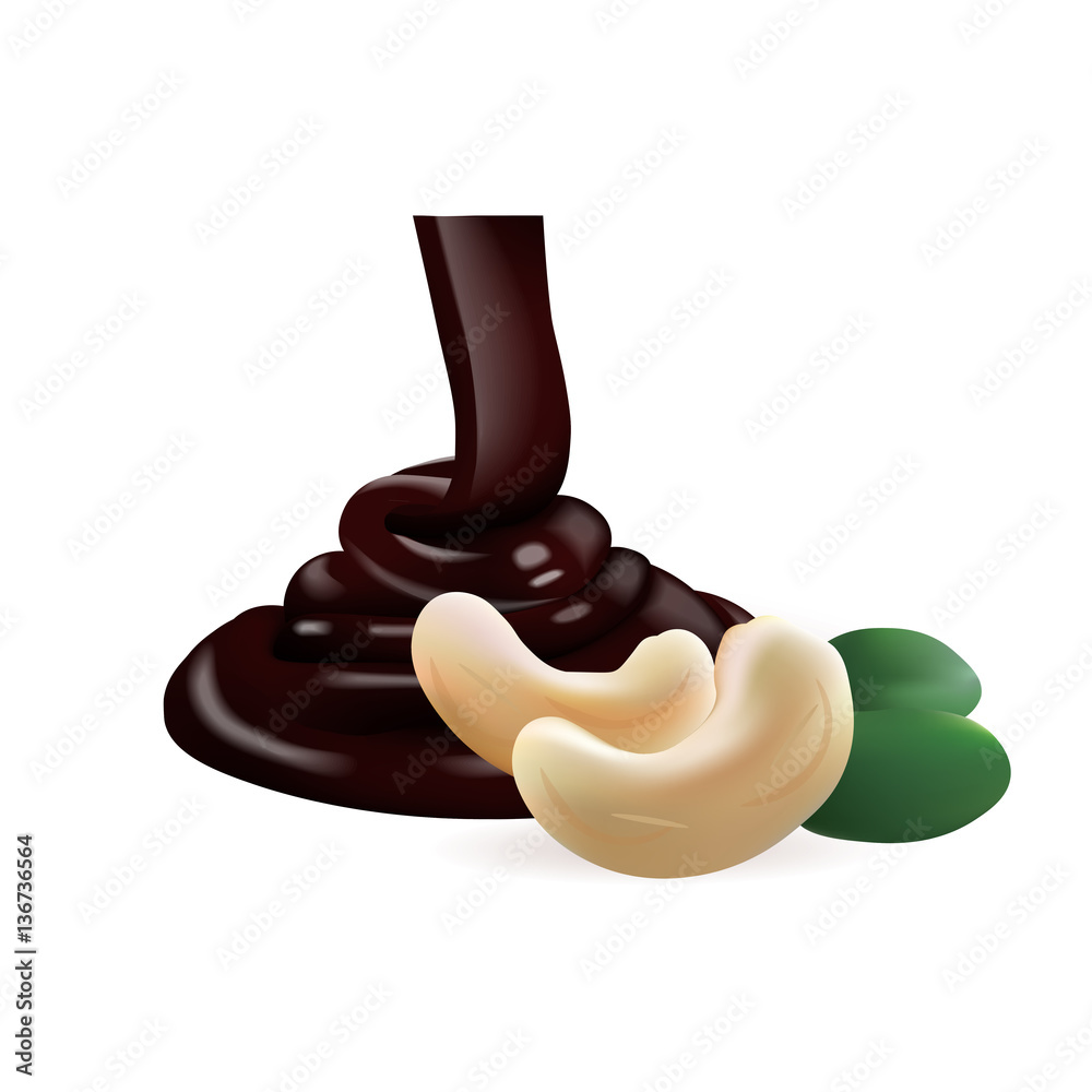 cashew nut and chocolate. 3d vector illustration cashew nut and chocolate. 3d vector illustration