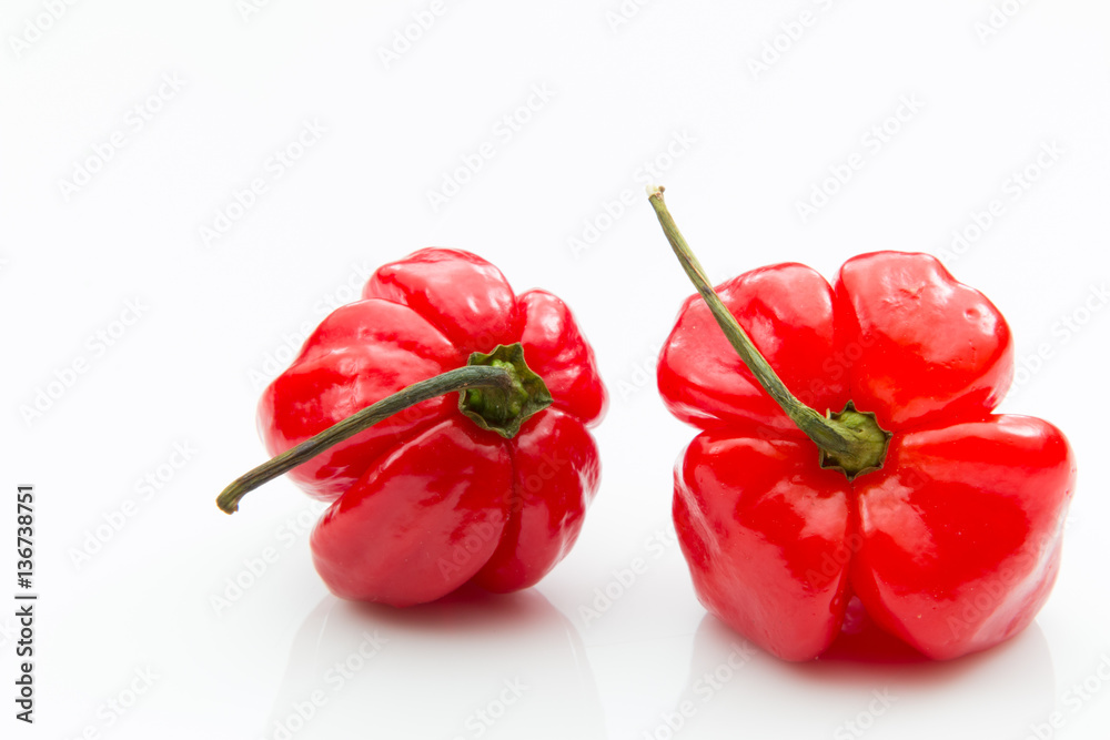 Two red habanero peppers on a white background. Two red habanero peppers on a white background.