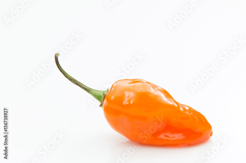Orange habanero pepper isolated white background.