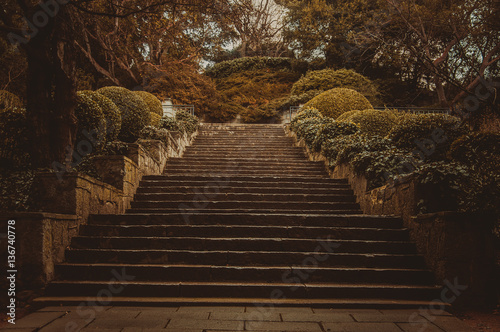 Beautiful stairs in the garden photo