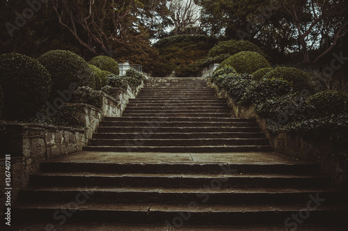 Beautiful stairs in the garden