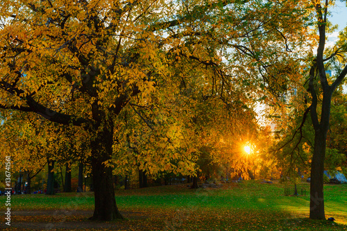 Central Park sunset fall autumn