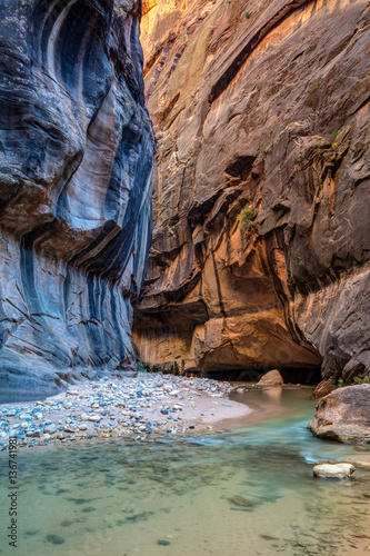 soft light bouncing off the canyon walls with contrasting colors and the gentle virgin river flowing through this scenic landscape. Zion National Park, Utah