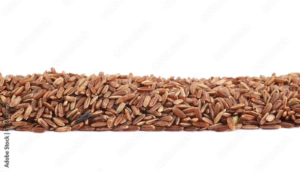 Obraz premium Line pile of brown rice grains isolated