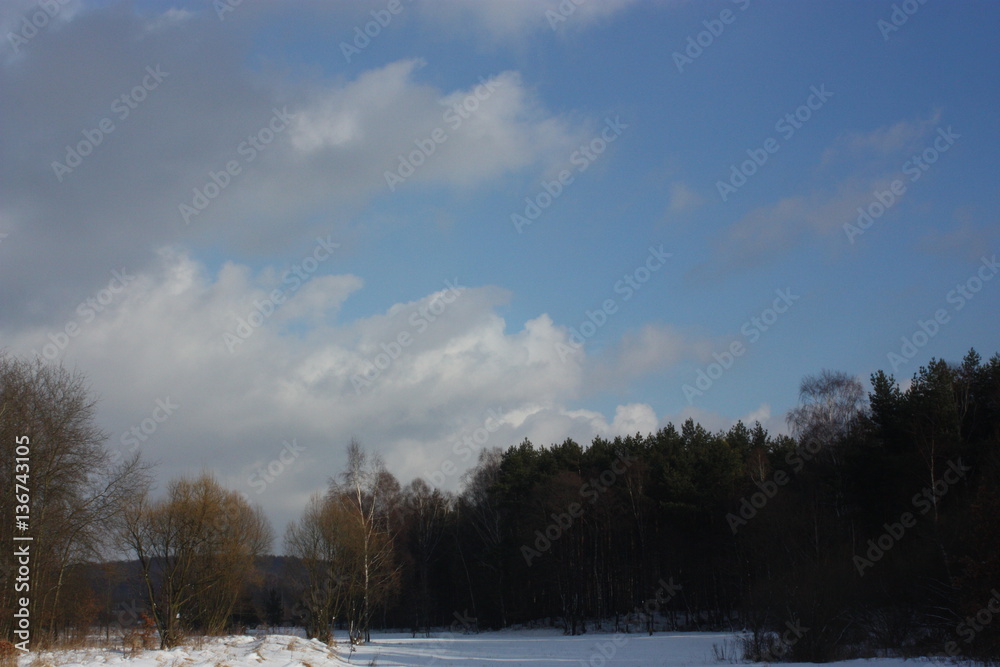 clouds , sky and forest clouds , sky and forest
