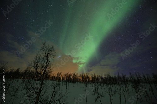 Northern lights  Aurora Borealis  Nordlicht  Polarlicht  Norwegen  Schweden  Finnland  Island