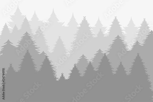 Dark forest of pine wallpaper
