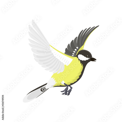 Titmouse bird isolated on white nature wild vector illustration.